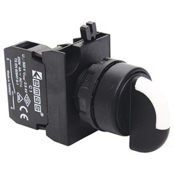 Переключатель EMAS 0-1 с фиксацией (1НО) CP100S20 - фото 324137